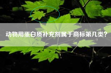 动物用蛋白质补充剂属于商标第几类? 动物用蛋白质补充剂属于商标第几类?