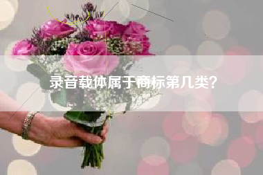 录音载体属于商标第几类? 录音载体属于商标第几类?