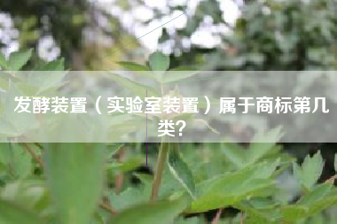 发酵装置(实验室装置)属于商标第几类? 发酵装置(实验室装置)属于商标第几类?