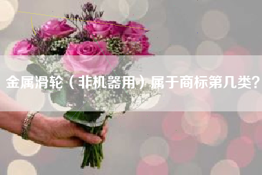 金属滑轮(非机器用)属于商标第几类? 金属滑轮(非机器用)属于商标第几类?