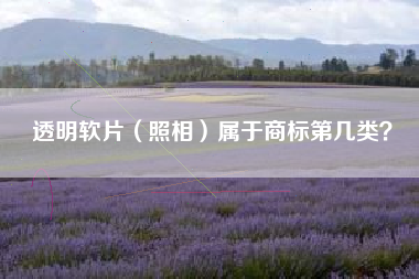 透明软片(照相)属于商标第几类? 透明软片(照相)属于商标第几类?