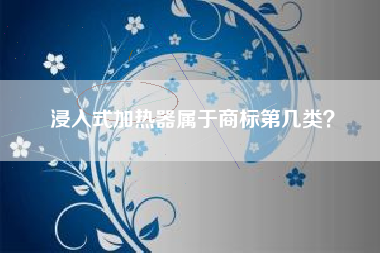 浸入式加热器属于商标第几类? 浸入式加热器属于商标第几类?