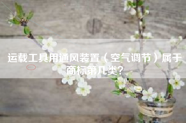 运载工具用通风装置(空气调节)属于商标第几类? 运载工具用通风装置(空气调节)属于商标第几类?