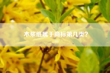 木浆纸属于商标第几类? 木浆纸属于商标第几类?
