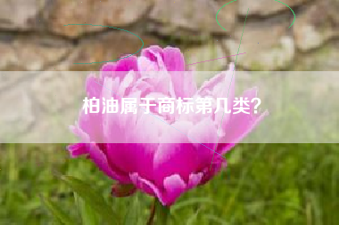 柏油属于商标第几类? 柏油属于商标第几类?