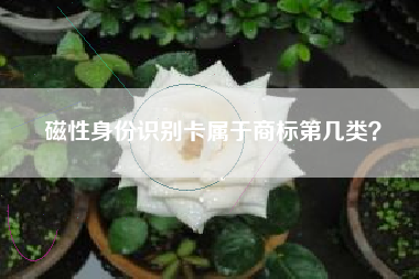 磁性身份识别卡属于商标第几类? 磁性身份识别卡属于商标第几类?