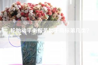 轮胎动平衡服务属于商标第几类? 轮胎动平衡服务属于商标第几类?