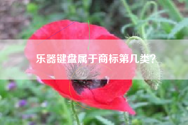 乐器键盘属于商标第几类? 乐器键盘属于商标第几类?