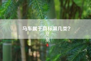 马车属于商标第几类? 马车属于商标第几类?
