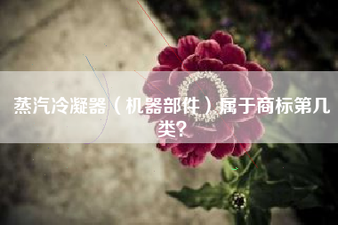 蒸汽冷凝器(机器部件)属于商标第几类? 蒸汽冷凝器(机器部件)属于商标第几类?