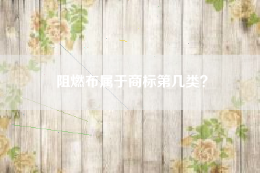 阻燃布属于商标第几类? 阻燃布属于商标第几类?