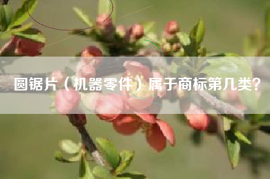 圆锯片(机器零件)属于商标第几类? 圆锯片(机器零件)属于商标第几类?