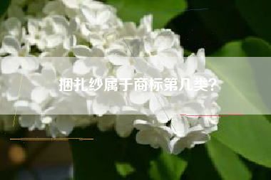 捆扎纱属于商标第几类? 捆扎纱属于商标第几类?