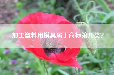 加工塑料用模具属于商标第几类? 加工塑料用模具属于商标第几类?