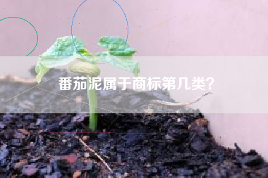 番茄泥属于商标第几类? 番茄泥属于商标第几类?
