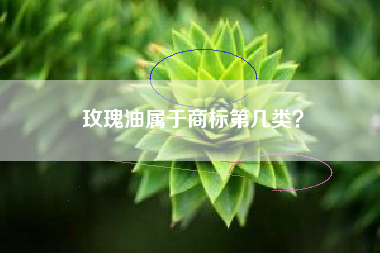 玫瑰油属于商标第几类? 玫瑰油属于商标第几类?