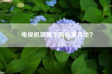 电视机架属于商标第几类? 电视机架属于商标第几类?