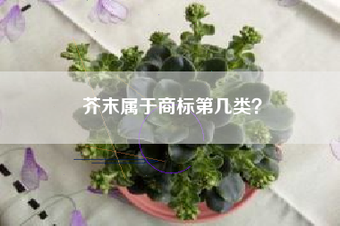 芥末属于商标第几类? 芥末属于商标第几类?