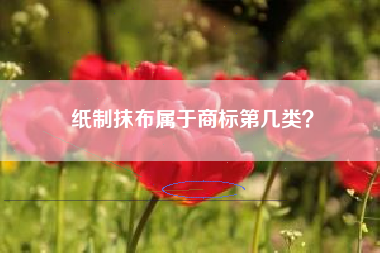 纸制抹布属于商标第几类? 纸制抹布属于商标第几类?