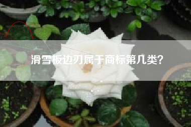 滑雪板边刃属于商标第几类? 滑雪板边刃属于商标第几类?