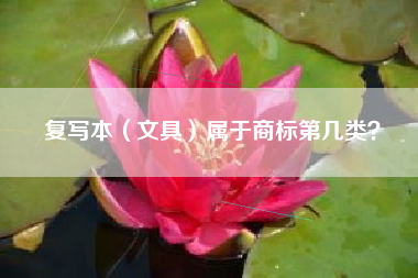 复写本（文具）属于商标第几类？