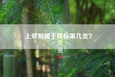 上浆剂属于商标第几类? 上浆剂属于商标第几类?