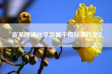 皮革浸渍化学品属于商标第几类? 皮革浸渍化学品属于商标第几类?