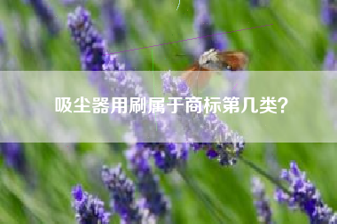 吸尘器用刷属于商标第几类? 吸尘器用刷属于商标第几类?