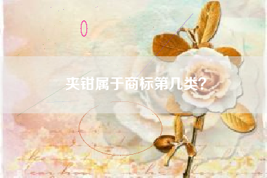 夹钳属于商标第几类? 夹钳属于商标第几类?