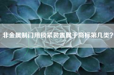 非金属制门用锁紧装置属于商标第几类? 非金属制门用锁紧装置属于商标第几类?