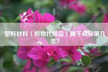 塑料材料(织物代用品)属于商标第几类? 塑料材料(织物代用品)属于商标第几类?