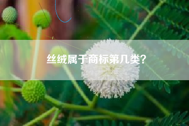 丝绒属于商标第几类? 丝绒属于商标第几类?
