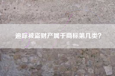 追踪被盗财产属于商标第几类? 追踪被盗财产属于商标第几类?