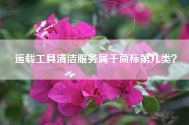 运载工具清洁服务属于商标第几类? 运载工具清洁服务属于商标第几类?