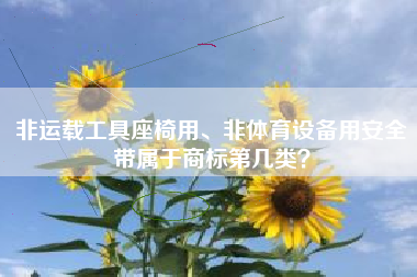 非运载工具座椅用、非体育设备用安全带属于商标第几类? 非运载工具座椅用、非体育设备用安全带属于商标第几类?