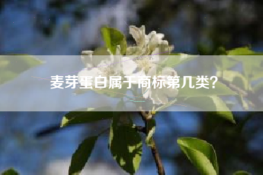 麦芽蛋白属于商标第几类? 麦芽蛋白属于商标第几类?