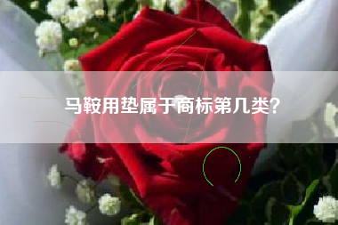 马鞍用垫属于商标第几类? 马鞍用垫属于商标第几类?