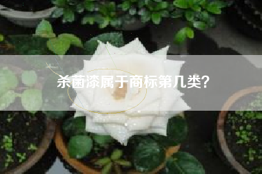 杀菌漆属于商标第几类? 杀菌漆属于商标第几类?