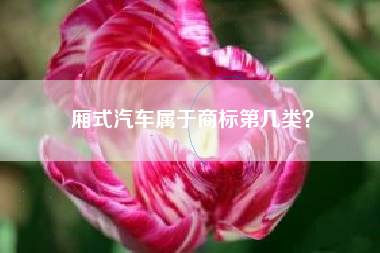 厢式汽车属于商标第几类? 厢式汽车属于商标第几类?