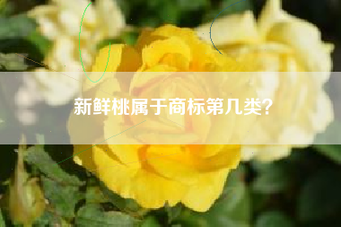 新鲜桃属于商标第几类? 新鲜桃属于商标第几类?