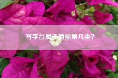 写字台属于商标第几类? 写字台属于商标第几类?