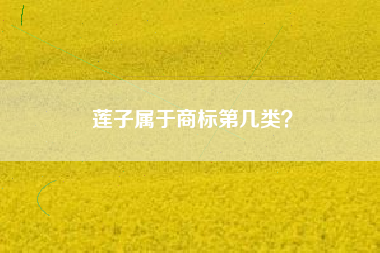 莲子属于商标第几类? 莲子属于商标第几类?