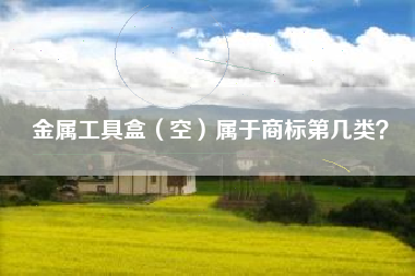 金属工具盒(空)属于商标第几类? 金属工具盒(空)属于商标第几类?