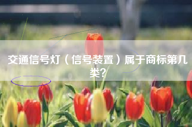 交通信号灯(信号装置)属于商标第几类? 交通信号灯(信号装置)属于商标第几类?