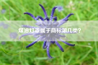 煤油灯罩属于商标第几类? 煤油灯罩属于商标第几类?