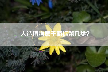 人造植物属于商标第几类? 人造植物属于商标第几类?
