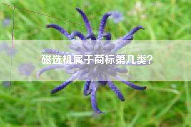 磁选机属于商标第几类? 磁选机属于商标第几类?