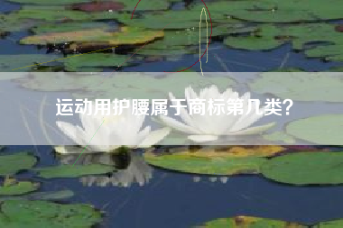 运动用护腰属于商标第几类? 运动用护腰属于商标第几类?