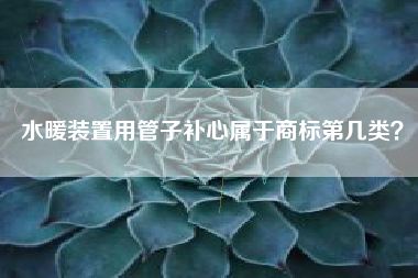 水暖装置用管子补心属于商标第几类? 水暖装置用管子补心属于商标第几类?