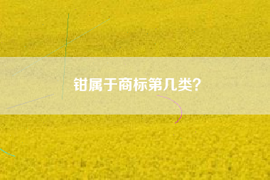 钳属于商标第几类? 钳属于商标第几类?